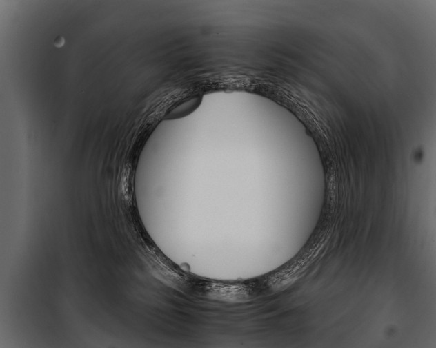 X0000100940185200806241211
