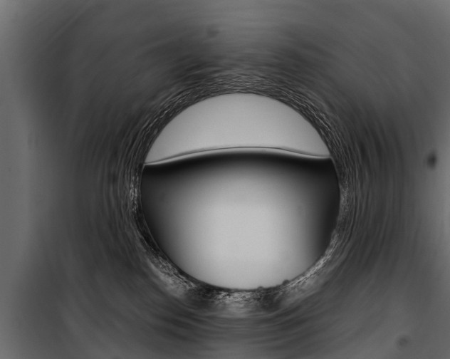 X0000100940186200806241211