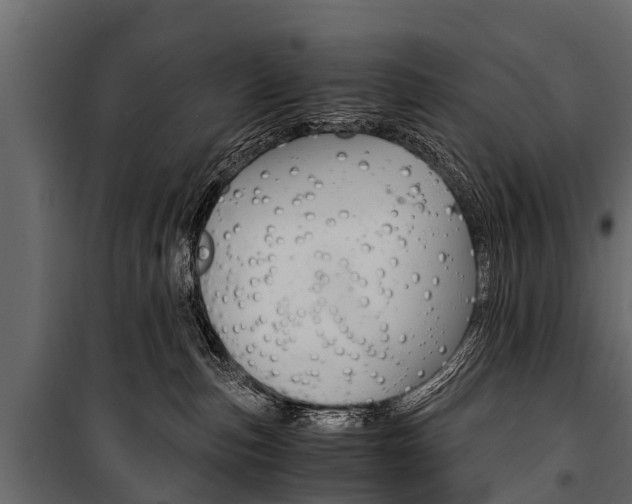 X0000100940187200806241211
