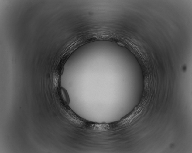 X0000100940188200806241211