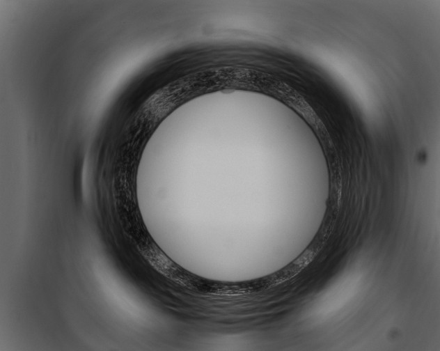 X0000100940189200806241211