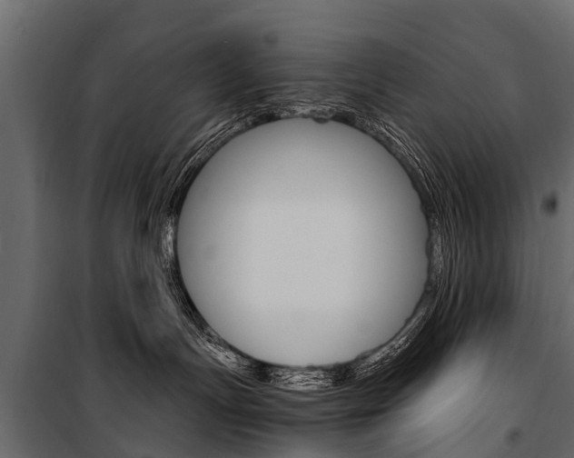 X0000100940191200806241211