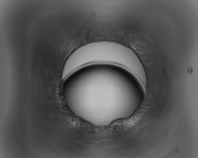 X0000100940192200806241211