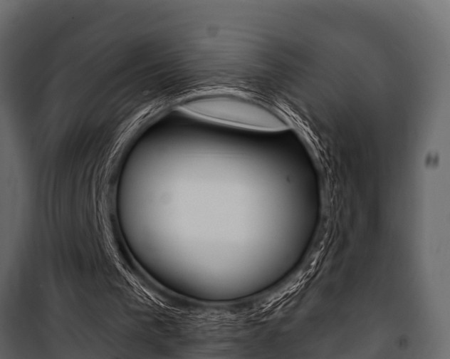 X0000100940193200806241211