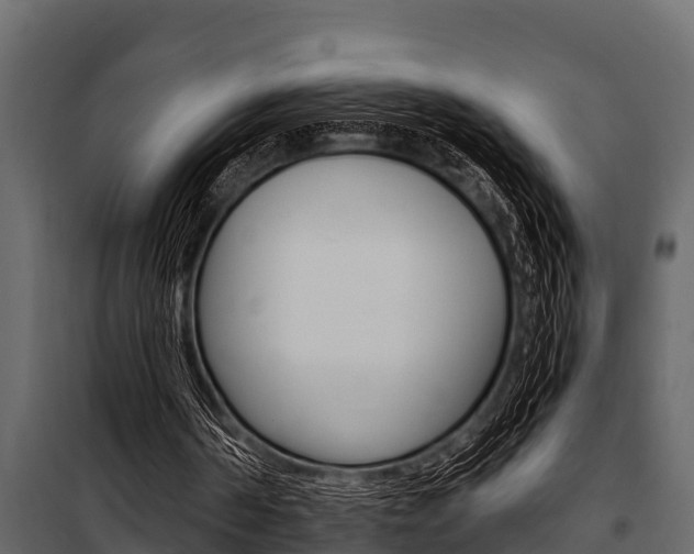 X0000100940194200806241211