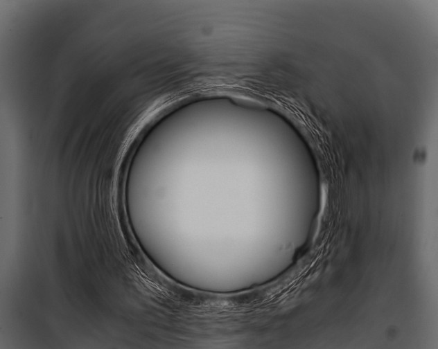 X0000100940195200806241211