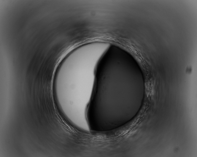 X0000100940196200806241211