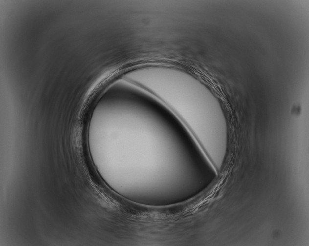 X0000100940197200806241211
