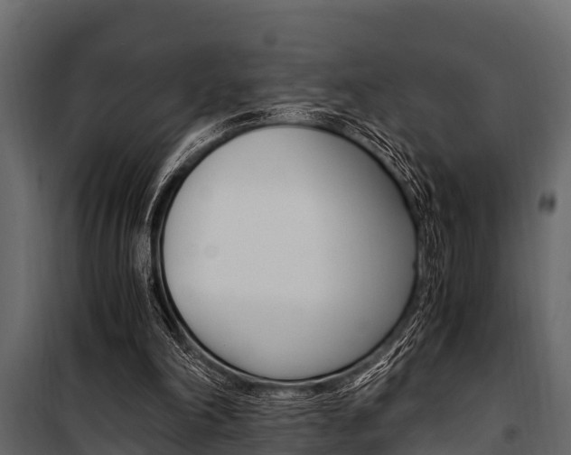 X0000100940198200806241211
