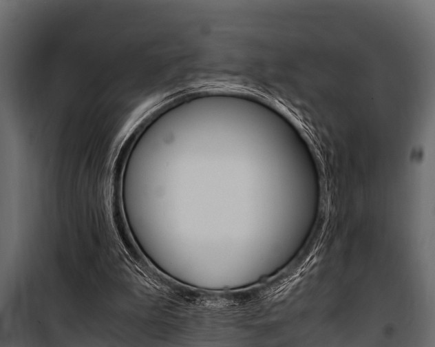 X0000100940199200806241211
