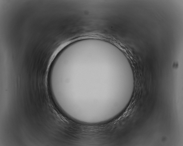 X0000100940200200806241211