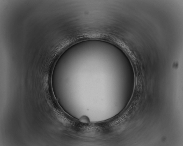 X0000100940201200806241211