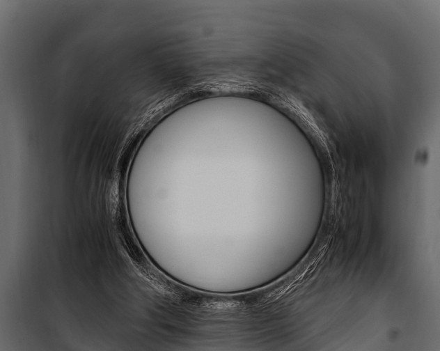 X0000100940202200806241211