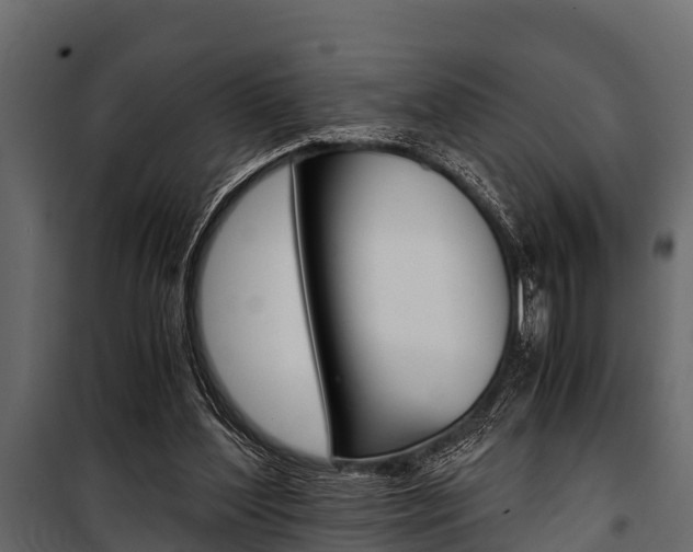 X0000100940204200806241210