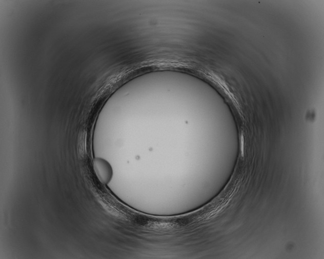 X0000100940205200806241210
