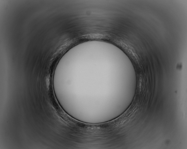X0000100940206200806241210