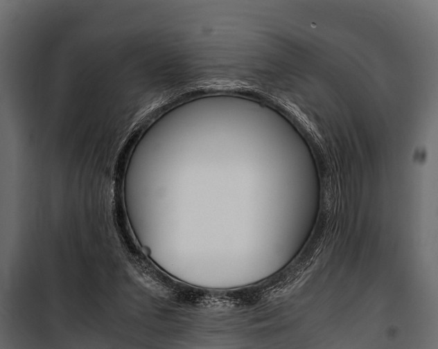 X0000100940207200806241210
