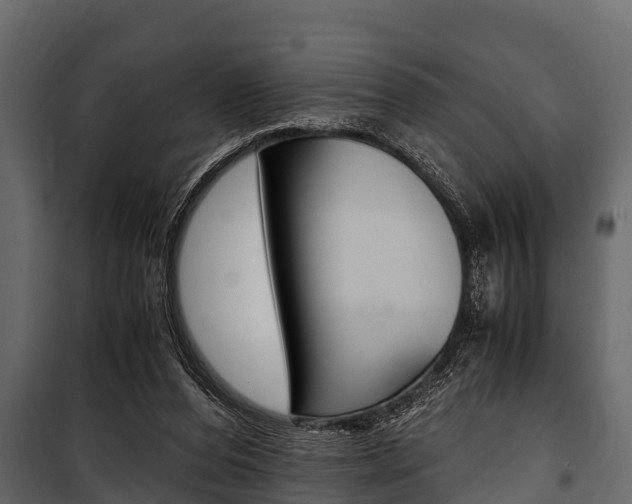 X0000100940208200806241210