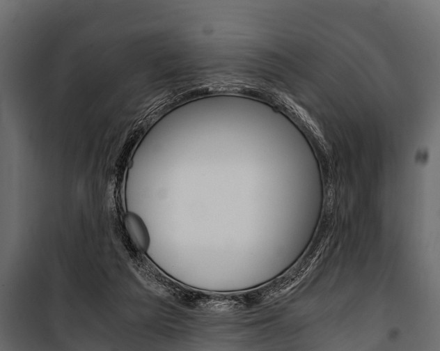 X0000100940209200806241210