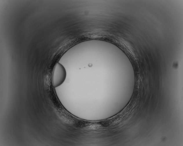 X0000100940210200806241210