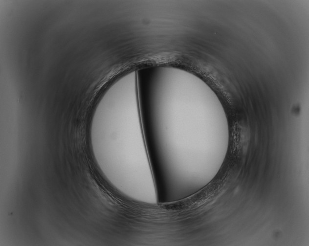 X0000100940212200806241210