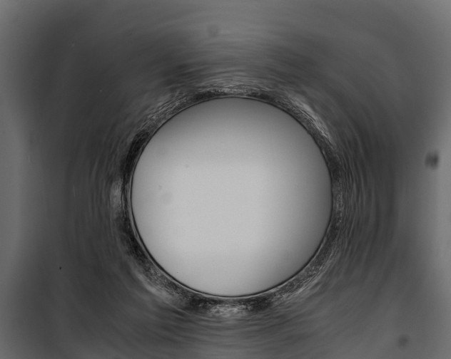 X0000100940213200806241210