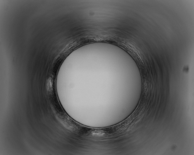 X0000100940214200806241210