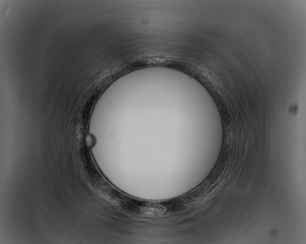 X0000100940215200806241210
