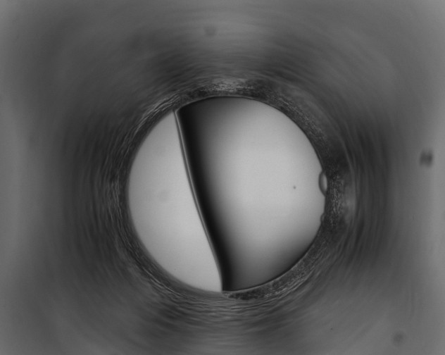 X0000100940216200806241210