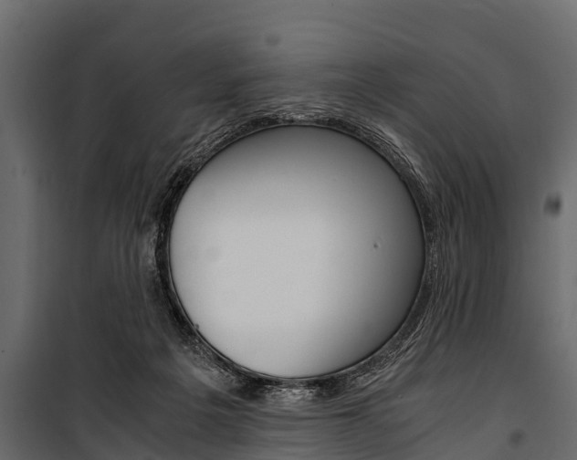 X0000100940217200806241210