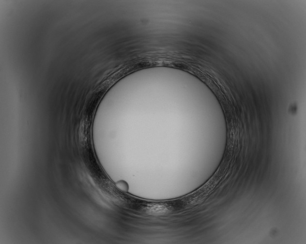 X0000100940218200806241210