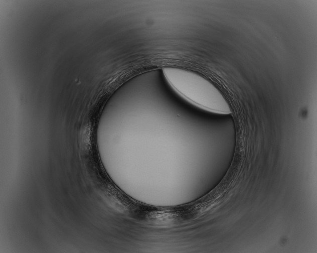 X0000100940219200806241210