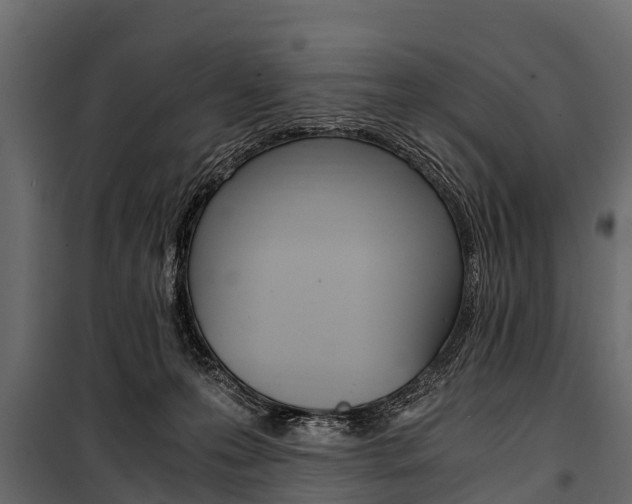 X0000100940223200806241210
