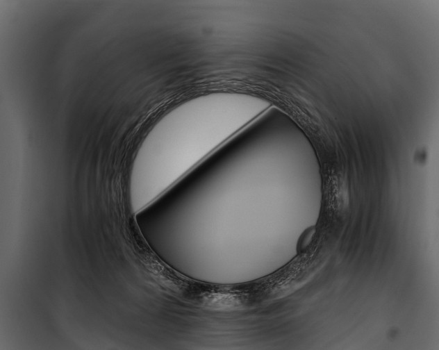 X0000100940224200806241210