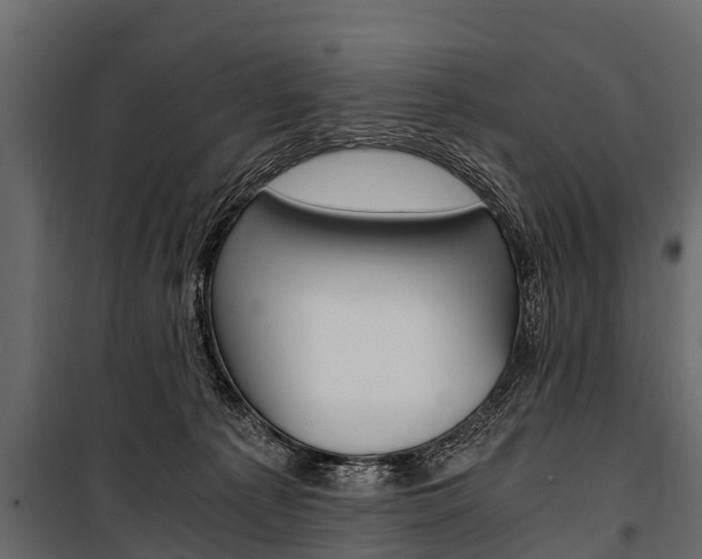 X0000100940225200806241210