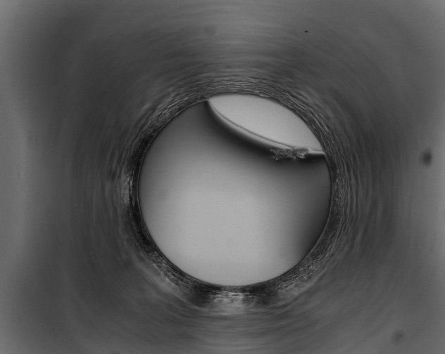 X0000100940227200806241210