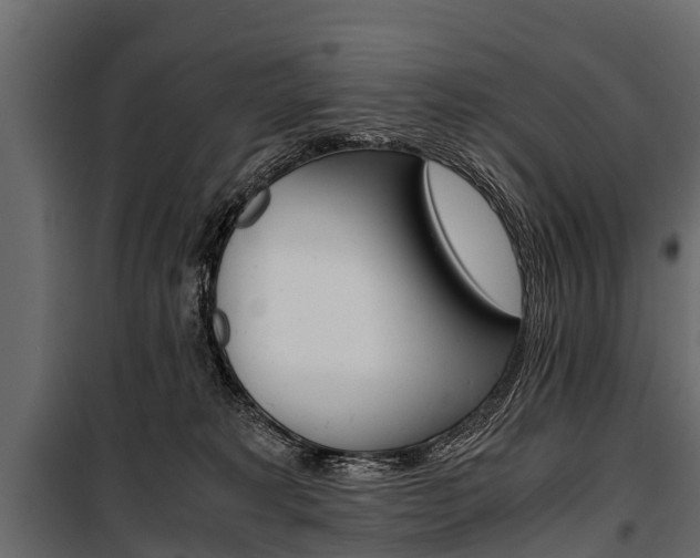 X0000100940229200806241210