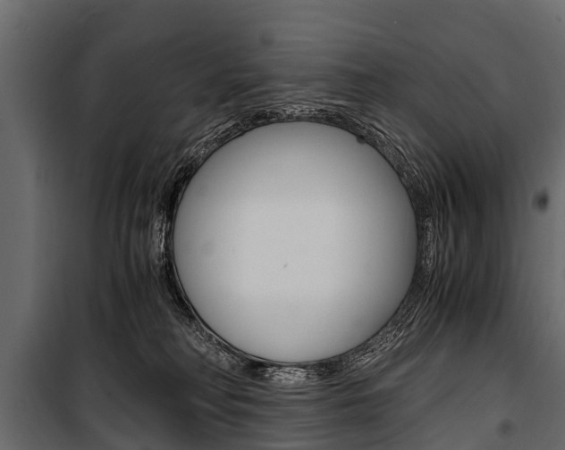 X0000100940230200806241210