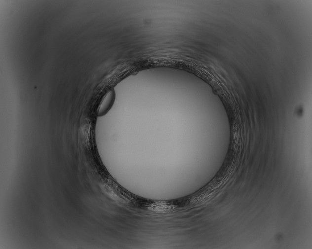 X0000100940231200806241210