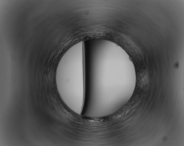 X0000100940232200806241210