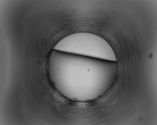 X0000100940233200806241210