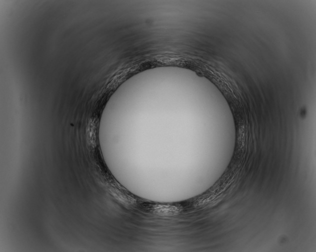 X0000100940234200806241210