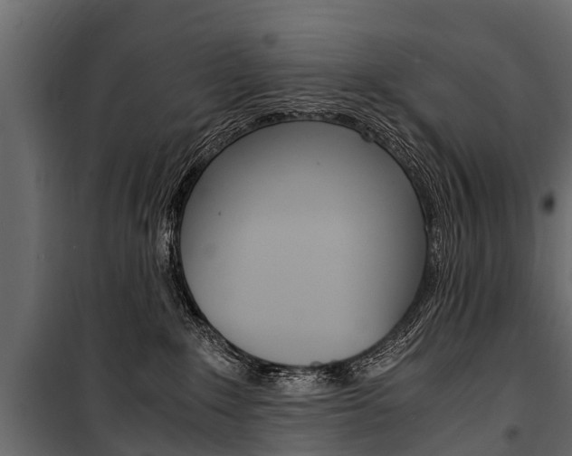 X0000100940235200806241210