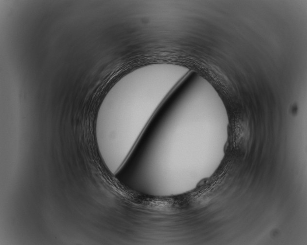 X0000100940236200806241210
