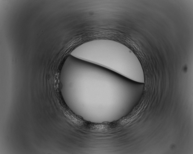 X0000100940237200806241210