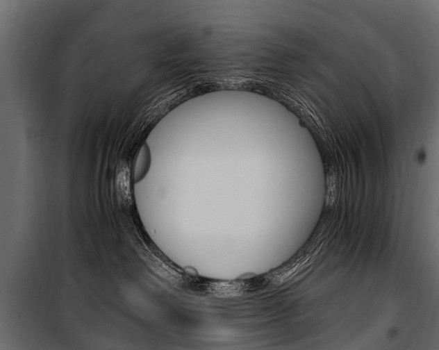 X0000100940238200806241210