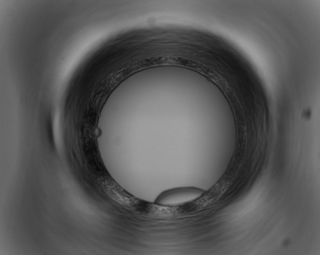 X0000100940239200806241210