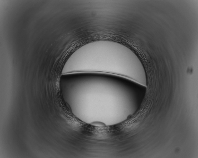 X0000100940240200806241210