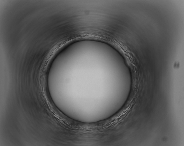 X0000100940241200806241209