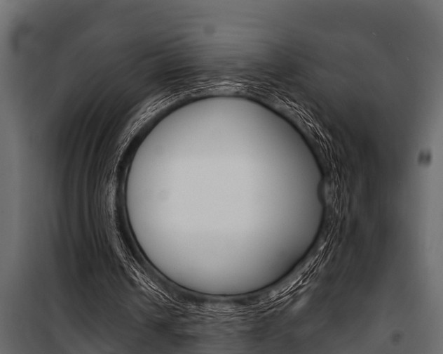 X0000100940242200806241209